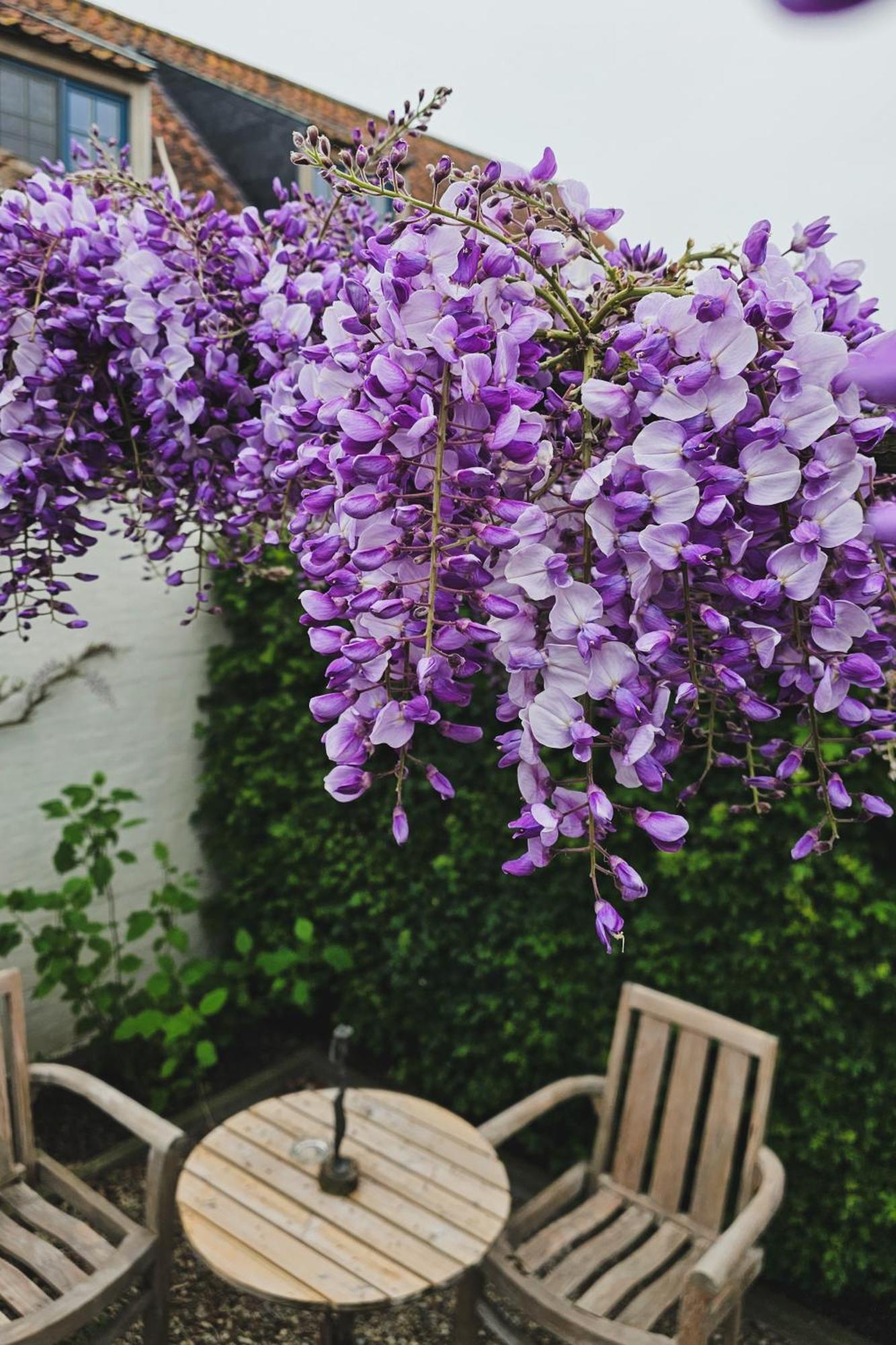 Boutique B&B Droomkerke Ruiselede Екстериор снимка